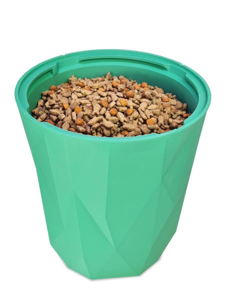 stockage dans une boite verte des croquettes de chats et de chiens.