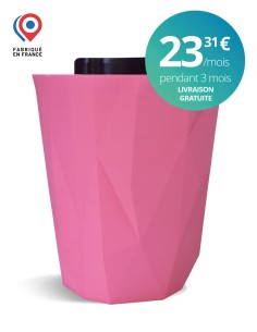 Crocketbox APIE Rose Bonbon 2,5kg